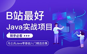 【B站最好|Java实战项目】马士兵Java零基础入门精选合集（新手必看）