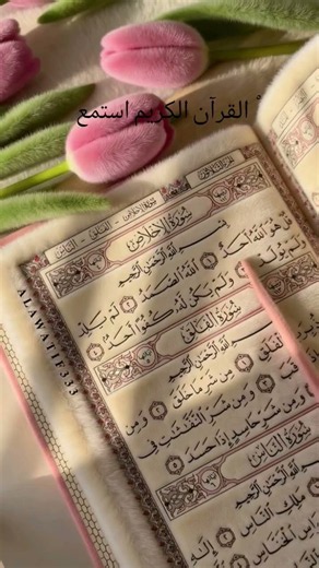 ١ سبتمبر، ٢٠٢٦