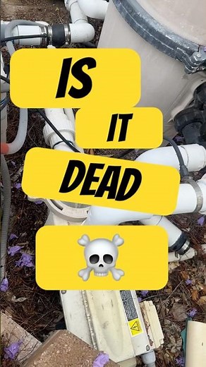 Pentair Pool Pump Help. #happypools #diypool #pooltips