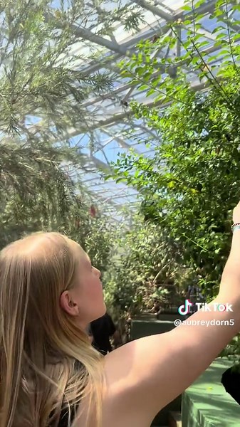 Bipolar Weather Patterns in Arizona and Grand Canyon