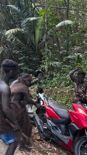 At first glance, I honestly thought these were monkeys. Niggers are quite literally a different species of bipedal mammals. Like comparing a cat to a squirrel. Although I think squirrels still have a higher IQ than your average nigger