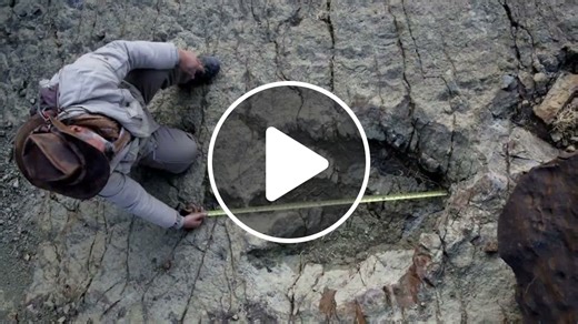 Science News - NewsBreak