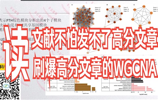 刷爆高分文章的WGCNA+双疾病联合分析，不怕发不了高分！【文献解读】/生信分析/科研/研究生/论文解读