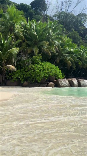 Plage parfaite 🏝️💦👙☀️ #seychelles #tropical #beachvibes #summer #waves