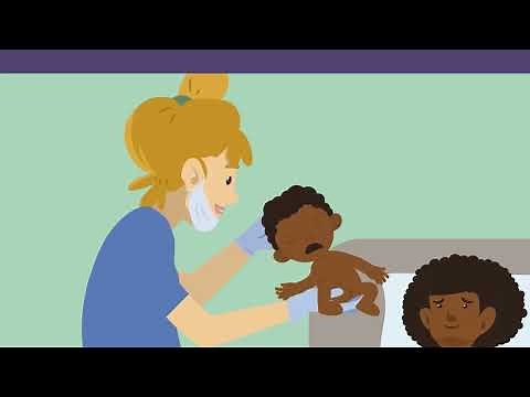 Female reproductive organs (basic knowledge) simply explained | sofatutor