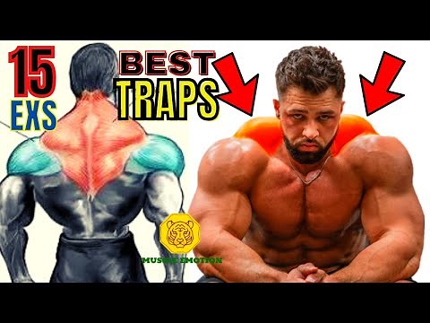 TRAP WORKOUT -MASSIVE / 15 best exercices for bigger traps