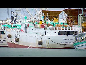 Are We Fishing our Oceans to Death? | Indian Ocean with Simon Reeve | BBC Studios