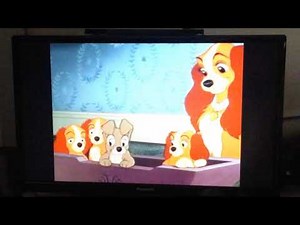 Opening To Fantasia 2000 UK DVD