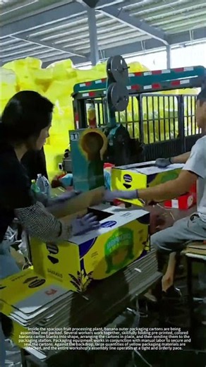 Banana carton packaging line, fast folding and packing