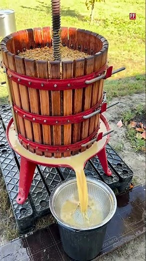 Wine making process