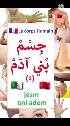 Apprendre Darija avec Hilla 🇩🇿 🇲🇦 👌