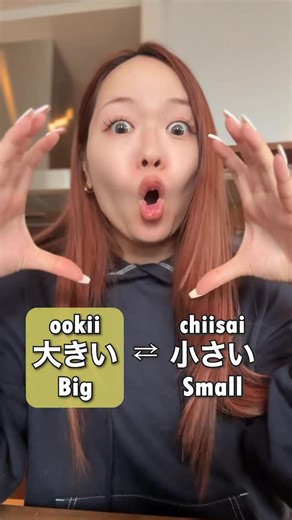 Learn Japanese | Salmon sensei on Instagram: "Opportunity words 👍↔️👎 Ooki 大きい Big Chiisai 小さい Small Ii いい Good Warui 悪い Bad Takai 高い Expensive Yasui 安い Cheap Chikai 近い Near Tooi 遠い Far"