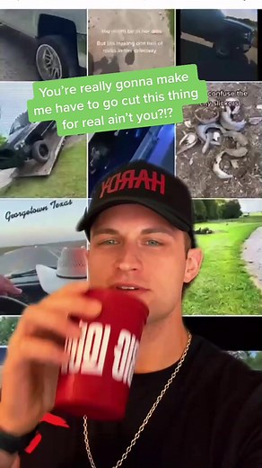 Should This Video Be Dropped or Not? You Decide!