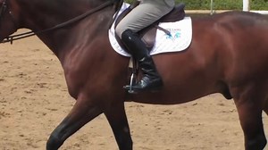 4.3K views · 152 reactions | Today’s training tip on getting the dull...