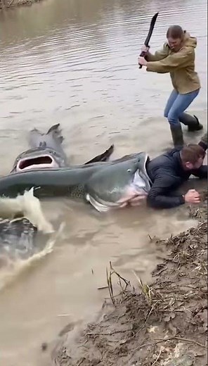 MONSTER Catfish Tries to EAT HUMAN ALIVE! Friends Can’t Save Him!😱 #monster #attack #survival #scary