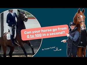 Constantly riding on high alert? 🤯 | Problem Horses Explained | S1E4