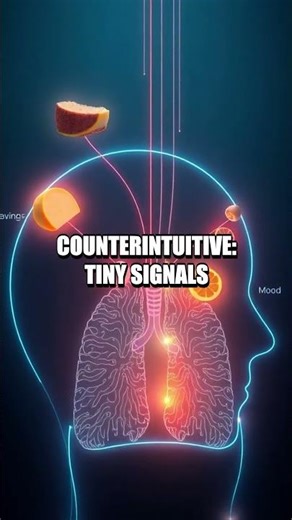 Inside the Body AI Lab Episode 1 Sugar Sparks Gut Traffic