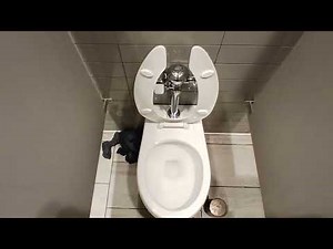 Cross County Center mall Target toilets