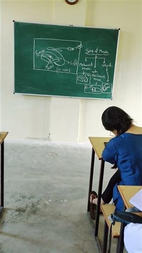 Input device/ Mouse/ Scanner/ types of Scanner