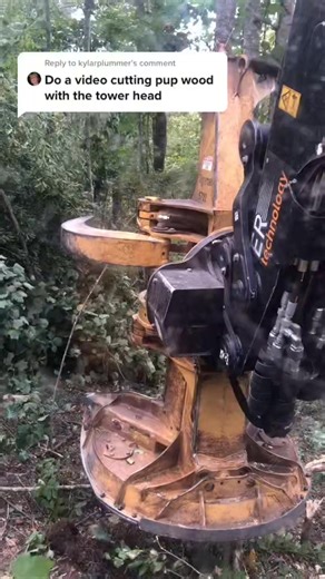 Logging work 🌲🌲🌲🚜 . . . #Toronto #FridayFeeling #AutumnVibes #SweaterWeather #GameDay #FallFashion #SpookySeason #SeptemberDump #NewMusicFriday #CozyGaming #SpookySeason #NationalPancakeDay #throwbackthursday #throwback #drafthorsesofinstagram #winchwork #kleinhardhats #xcutchain #timberjack360 #748h | Florence Marigold