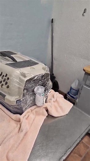 ACTion Programs for Animals on Reels