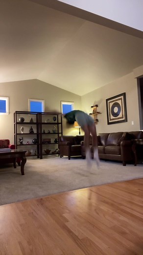 No furniture was harmed in the making of this video #livingroomgymnastics #gymnastics #flip
