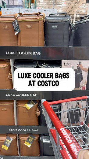 21K views · 44 reactions | Igloo luxe cooler bags at Costco | costcoguide | Facebook