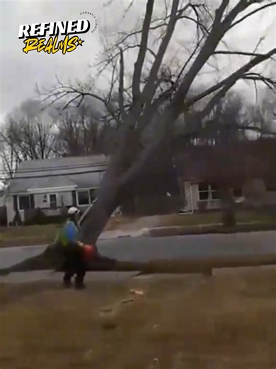 23K views · 170 reactions | Watch the most massive trees fall in jaw-dropping moments - pure power, precision, and nature’s beauty combined! #treefalling #TreeCutting #satisfyingvideo #logging #naturepower | Refined Realms | Facebook