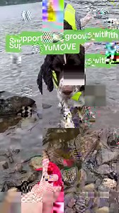 39K views · 1K reactions | Thank you dogs... for everything you have given us this year and beyond. Our dogs give us everything and at YuMOVE we create natural dog joint supplements to help give them an active life, for life. Visit our website to find out more! | YuMOVE UK | Facebook