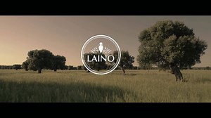 Cultiver la beauté du corps autant que celle de l'esprit, telle est l'essence même des soins LAINO