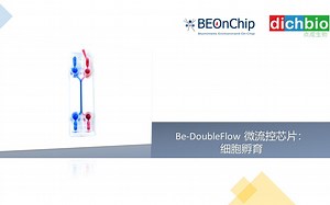 产品操作| Be-DoubleFlow微流控芯片：细胞培养