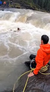 Man Leaps Into Flooded River to Save Dog Swept Toward Waterfall Riverside trail, late afternoon — What began as a peaceful walk near a fast-moving river turned into a life-or-death rescue when a dog was swept off its footing and carried downstream toward a roaring waterfall. The footage shows churning, muddy water surging over a rocky drop as the dog struggles to stay afloat, its head barely visible amid the whitewater. Onlookers can be seen gathering along the riverbank, pointing and shouting a