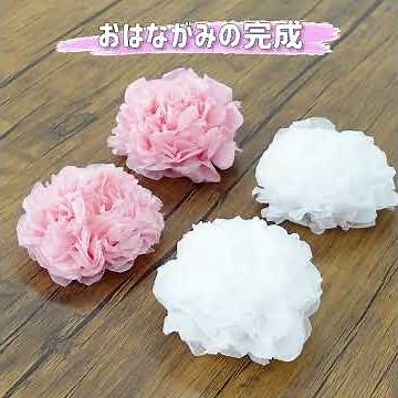 花王 メリーズ×LOHACO おむつケーキの作り方 動画広告