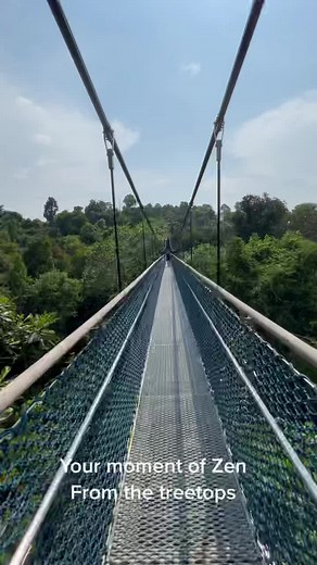 Tim Larson on TikTok