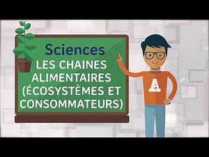 Sciences - Les chaînes alimentaires (écosystèmes et consommateurs)