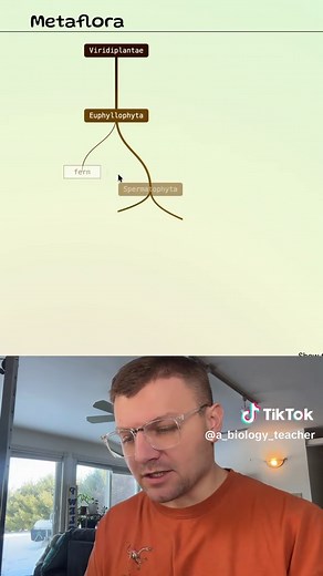 Metaflora Day 863: Guessing Plant Species