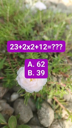 7.2K views · 157 reactions | Mina Kurniasih on Reels | Facebook