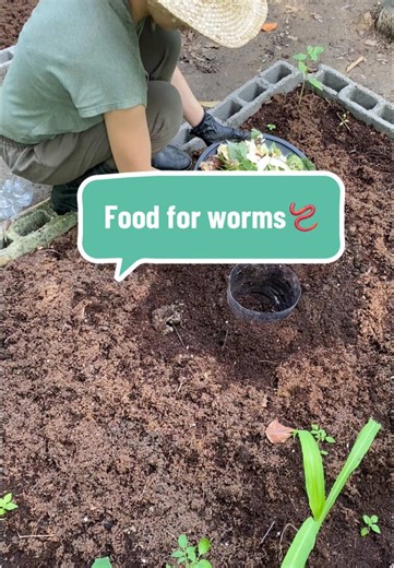 DIY Mini Composter Using Plastic Bottles for a Nutrient- Rich Soil Let’s try it!🌱♻️💚 #plant #soil #kitchenscraps #compost #composting #plantstiktok #farmjoe #fyp #foryou #foryoupage
