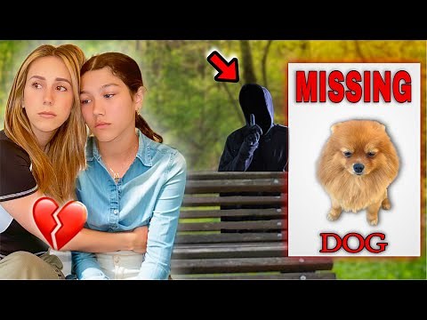 We Found Out Who TOOK Our MISSING Puppy March Pom!?? *LEADS* full movie