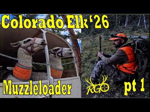 Colorado Elk Muzzleloader 2026 - Brian's Hunt Part 1 - RGO #566
