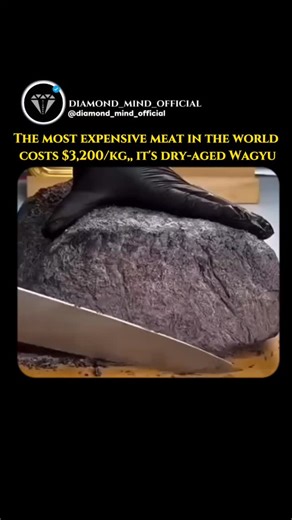 DIAMOND 💎 on Instagram: "Wagyu beef is globally recognized for its exceptional quality, standing out for its intense marbling — the uniform distribution of intramuscular fat that gives its cuts unmatched tenderness and flavor. Originally from Japan, the Wagyu breed is the result of centuries of genetic selection and carefully controlled breeding methods. The dry-aging process further elevates the sophistication of this meat. In this method, the cuts are stored for several weeks under strictly c