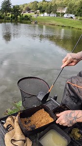 PELLET PASTE in the MARGINS🩷 Nothing quite like catching those BIG CARP in a shallow margin swim. Feed PLENTY of Groundbait to get those carp on the spot then present a BIG SLOPPY blob of paste over the top!!! And HOLD ON!!!! #mainlinematch #mainlinebaits #paste #pellet #fishing #margin #bigcarp | Mainline Match