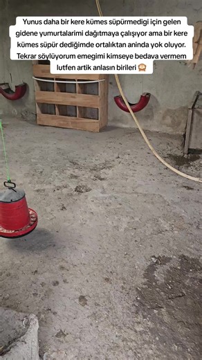 How to Create a Rustic Bird Feeding Station