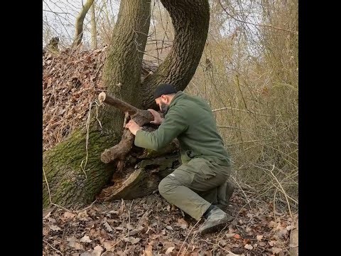 “How I Built a Wilderness Shelter from the Ground Up 🔥”