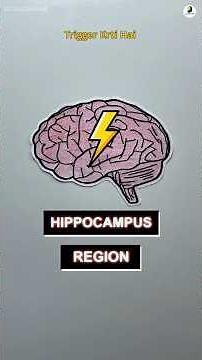 How to Study Full Day and Score Highest Marks in Exams🔥 #studt #exams #quizlet