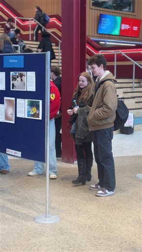 Queen's University Careers on Instagram: "Careers, Employability and Skills have collaborated with a group of final year AEL students (UG, PGT and PGR), to examine their final year transition experiences through the lens of the Employability Capital Growth Model, using photovoice as a research framework. Yesterday we had an exhibition in One Elmwood entitled 'Framing the Future: A Photovoice Study of Student Perspectives on Creative Education Transitions'. The participants represented eight diff