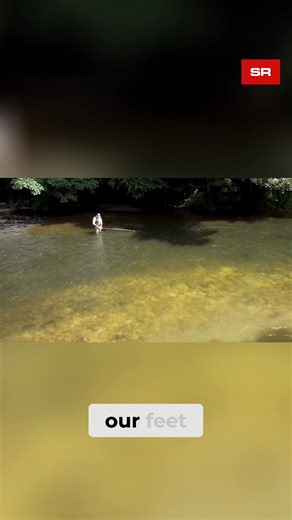 Mastering the 45-Degree Single Spey Cast Technique Unlock the secret to precision casting! We dive deep into executing a perfect 45-degree single Speycast, focusing on foot positioning, anchor placement, and the smooth lift-sweep technique essential for effective fishing. #FishingTechniques #FlyCasting #SingleSpey #CastingPrecision #AnglingTips #FishingLife #OutdoorSkills #LearnToCast #FishingCommunity #CastingExpert | Sunray