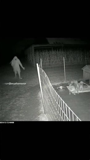 Pitbull defends his puppies after a scary creature