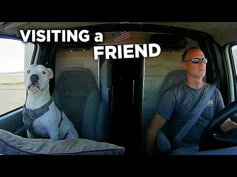 Taking A Break From Driving: Spending Days at a Friend's Rural American Home