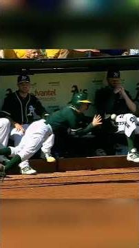 MLB FUNNY MOMENTS #foryou #mlb #sports